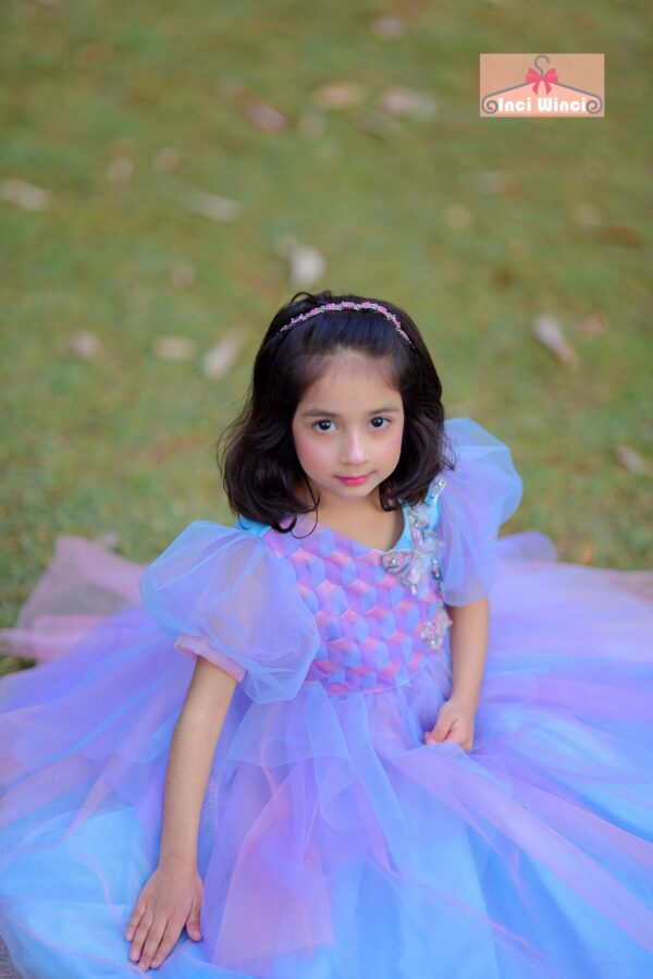 Tulle Dress Frock, Pink, Purple, Lavender, Blue Colour Fairy Costume, Royal Ball Gown with Puffy Sleeves, for birthday, prom, wedding etc.