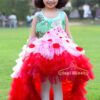 New Style Pink Red Baby Girl Teenage Kids Fancy Maxi Printed Long High Low Tail Frill Ferry Net Frock Design for Birthday Eid Western Part Wear - Image 2